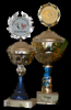 Pokal