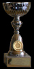 Pokal