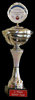 Pokal